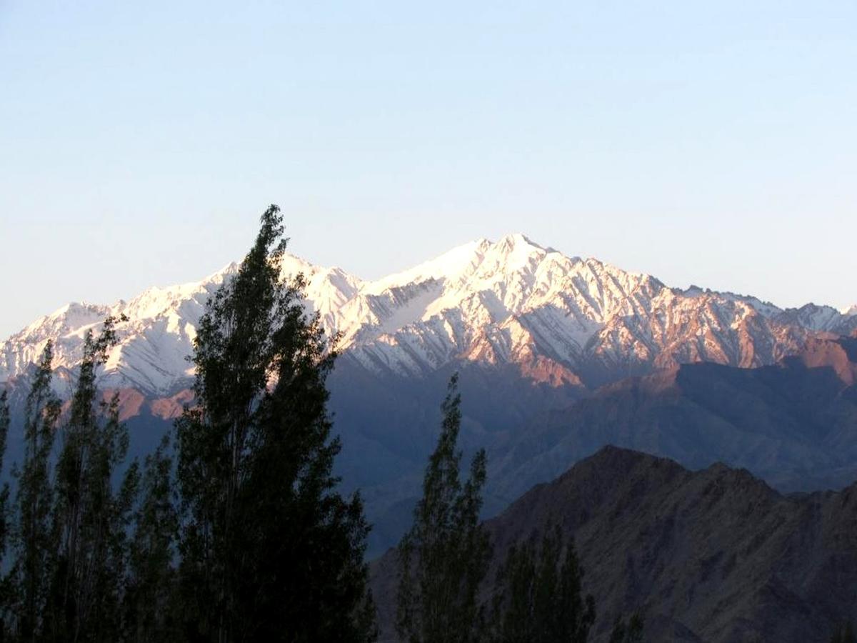 Kidar Hotel Leh Exterior foto